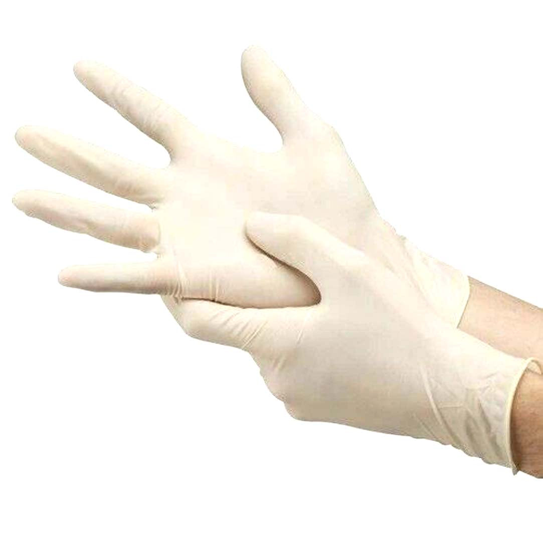 Arista Latex Gloves Pre-Powdered